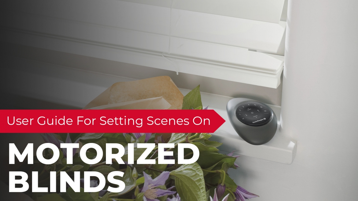 User Guide for Setting Scenes on Motorized Blinds | Blinds Plus and More