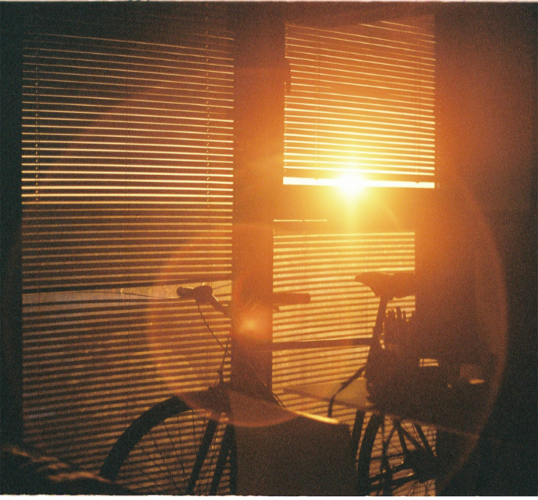 Sunlight filtering through blinds
